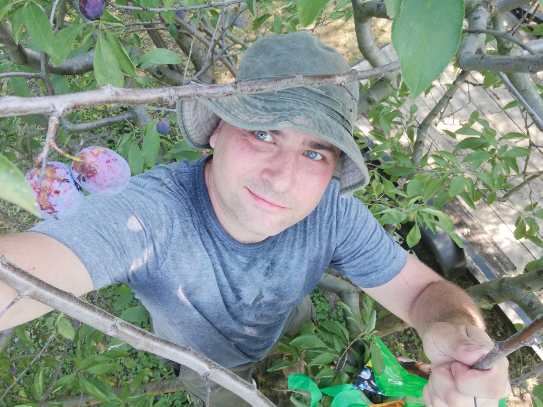 Writer: Terry Trowbridge