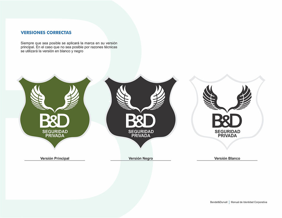 Manual Corporativo B&D12