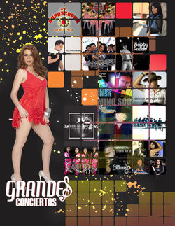 Vartel Grandes Conciertos Talento 02