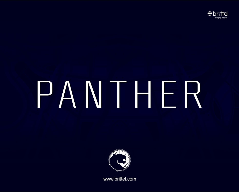 Wallpaper Panther 1280X1024 M01