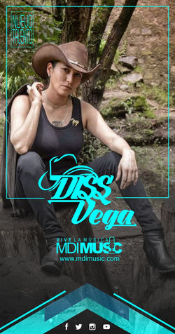 MDI DissVega Redes
