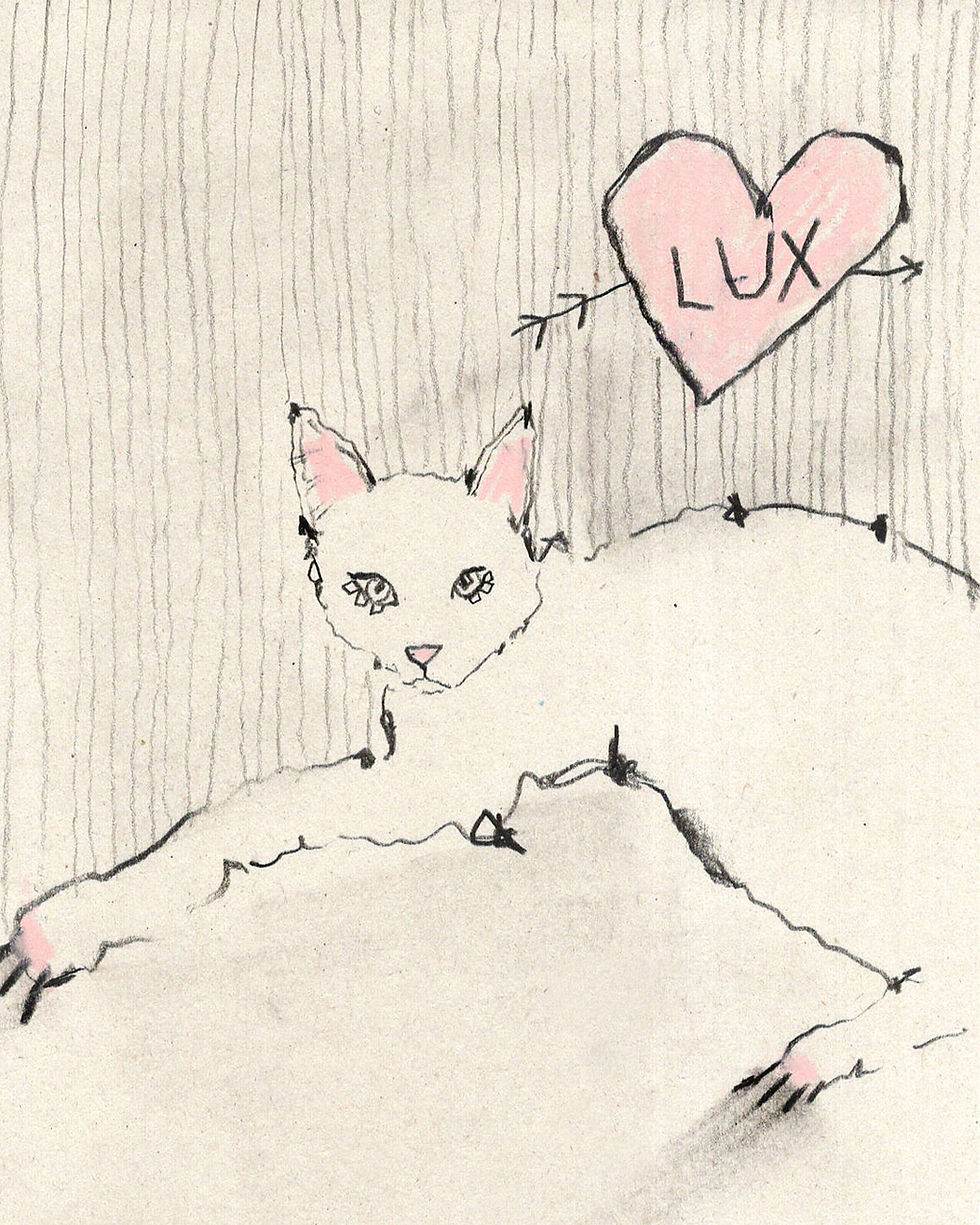 Thumbnail: Original Pet Portrait Commission