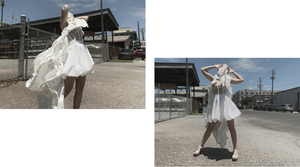 The White Project