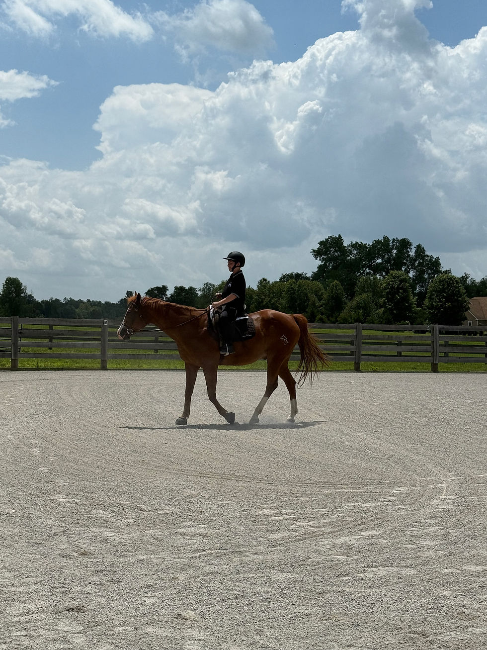 Equitation pattern class in their first schooling show
