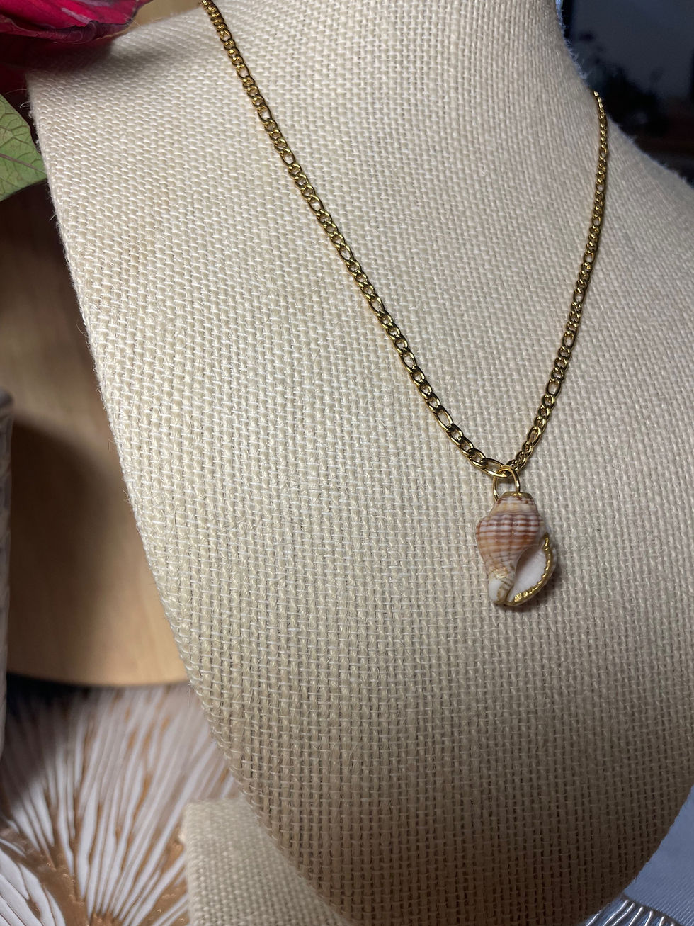 Fígaro y El Caracol 