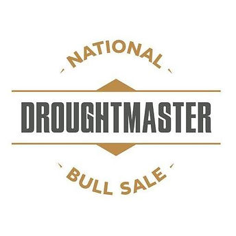 DN Logo.jpg