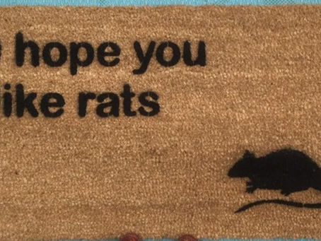 Aw Rats! (AKA: Not enough money)