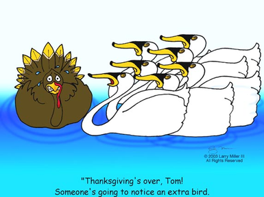Seven Swans a’Swimming (WTF with all the birds?)