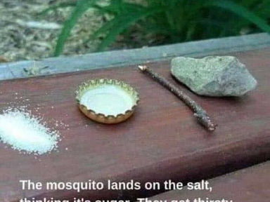 Wait…What? (AKA: This is bugging me)