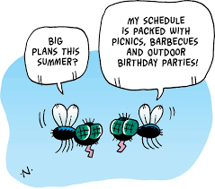 Guests, Pests, and Bagels (AKA: Not paying rent)
