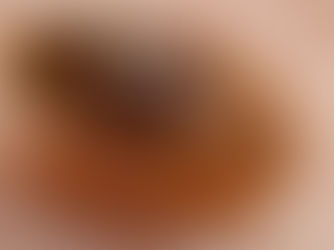 Down the rabbit hole (AKA: Does Wonderland have bed bugs?)