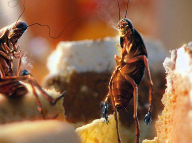 Resistance is Futile (AKA: I wasn’t a math major)