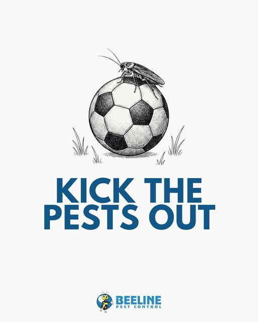 THE Game (AKA: GOOOAAAALLL!)