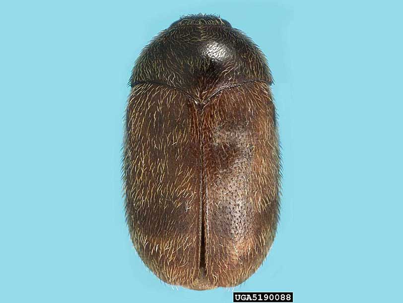 Sweating the Small Stuff (AKA No sweat!)