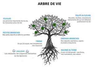🌳 𝐄𝐭 𝐬𝐢 𝐯𝐨𝐮𝐬 𝐟𝐚𝐢𝐬𝐢𝐞𝐳 𝐮𝐧𝐞 𝐩𝐚𝐮𝐬𝐞 𝐩𝐨𝐮𝐫 𝐫𝐞𝐠𝐚𝐫𝐝𝐞𝐫 𝐯𝐨𝐭𝐫𝐞 𝐯𝐢𝐞… 𝐜𝐨𝐦𝐦𝐞 𝐮𝐧 𝐚𝐫𝐛𝐫𝐞 ?𝐒𝐨𝐥𝐢𝐝𝐞. 𝐕𝐢𝐯𝐚𝐧𝐭. 𝐄𝐧 𝐞́𝐯𝐨𝐥𝐮𝐭𝐢𝐨𝐧 𝐩𝐞𝐫𝐦𝐚𝐧𝐞𝐧𝐭
