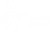 walkable world.png