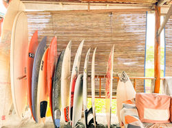 Board Rental
