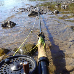 #flyfishingbrasil #fly #pescacommosca #pescaria #flyfishing #pesca #fish #fishing #pesqueesolte #cat