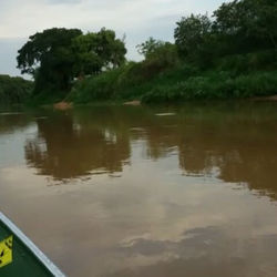 O Rio Piracicaba tá sem peixe ___Uhumm... 🤔🤔🤔🤔 Com nossa associação de defesa, será ainda melhor