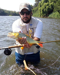 #flyfishingguide #flyfishing #flyfishingbrasil #pesqueesolte #pescacommosca #fly #dourado #dorado #r