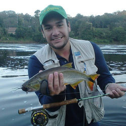 #flyfishingbrasil #fly #pescacommosca #pescaria #flyfishing #pesca #fish #fishing #dourado #dorado #