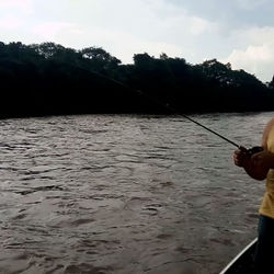 Baitfishing__#dourado #dorado #goldenfish #goldendorado #baitcasting #baitfishing #pesqueesolte #pes