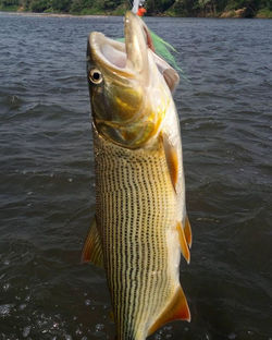 #flyfishingguide