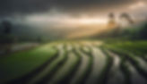 lush-terraced-rice-paddies-sa-pa-generated-by-ai.jpg