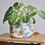Miniature : cache pot plante intérieur décoration home lifestyle coton lin impérméable motif lyon créatrice artisanat handmade jardin