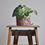 Miniature : cache pot plante intérieur décoration home lifestyle coton lin impérméable motif lyon créatrice artisanat handmade jardin