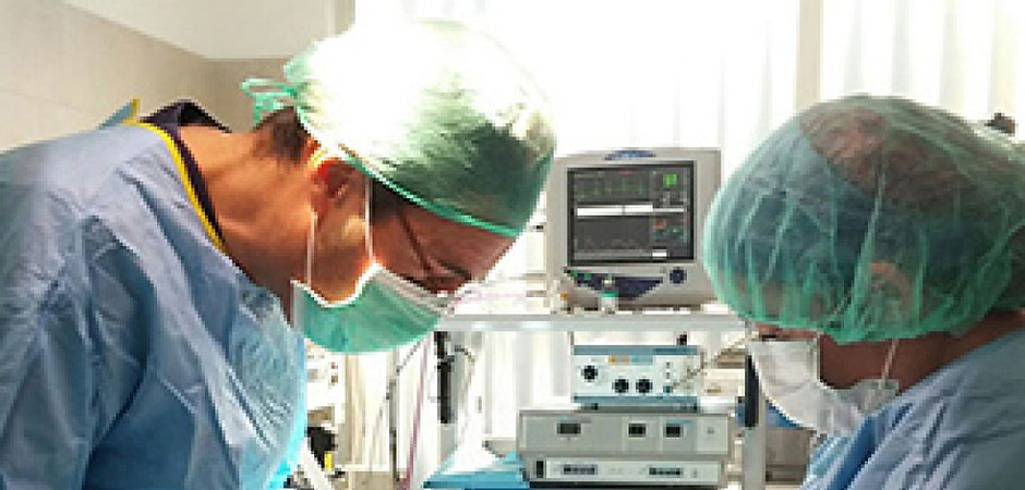 cirugia-veterinarial-hospital-veterinari