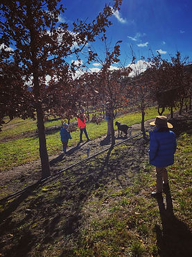 truffle hunting