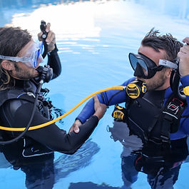 Become a PADI Divemaster, enabling you to dive deeper, further and open up the avenue of becoming a certified SCUBA instructor as well. 