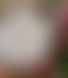 Bom Dia, Amigos Mamíferos!