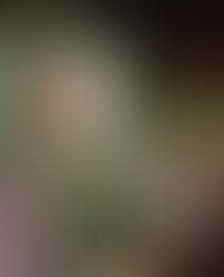 Torta de Figos Frescos e Mel