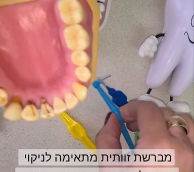 שימוש נכון במברשות בין שיניות