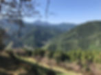 IMG_6907resize
