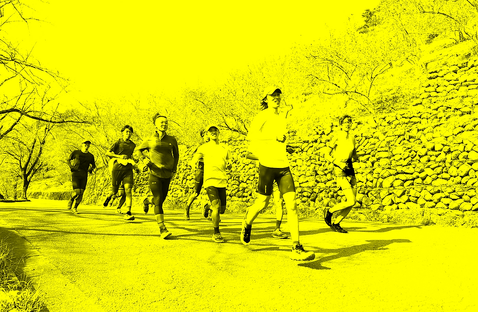 スクリーンショット 2026-03-09 10.29.17.png