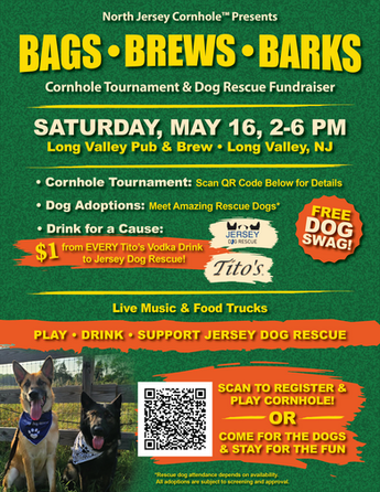 Long Valley, Washington Township, NJ Cornhole Jersey Dog Fundraiser tournament.