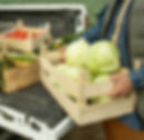 Lorem ipsum dolor sit amet, consectetur adipiscing elit, sed do eiusmod tempor incididunt ut labore et dolore magna aliqua. Tristique...