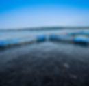 Lorem ipsum dolor sit amet, consectetur adipiscing elit, sed do eiusmod tempor incididunt ut labore et dolore magna aliqua. Tristique...