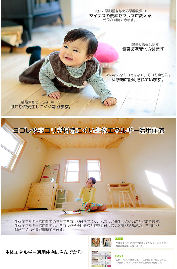 生体エネルギーの家.jpg