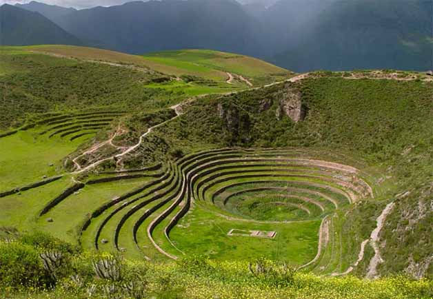 MARAS MORAY