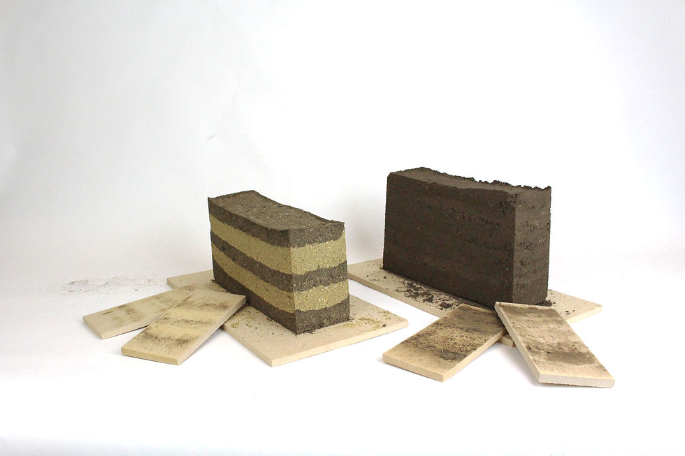 Rammed Earth