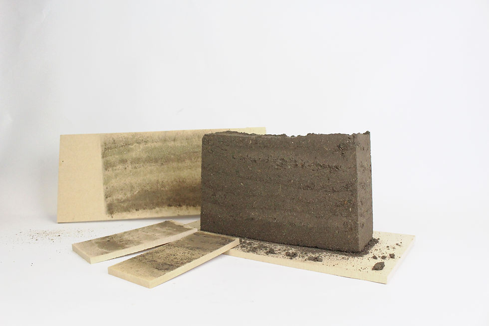 Rammed Earth
