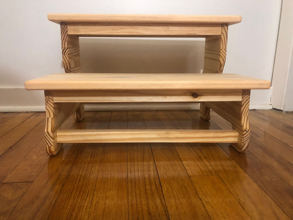 Thumbnail: Two Step stool