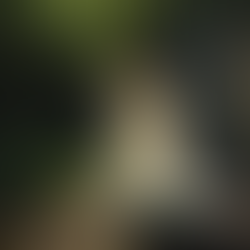 Nicole & Seán’s Elegant White & Greenery Wedding – August 2024