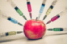 toxic foods, hormones, dyes for lymphatic system