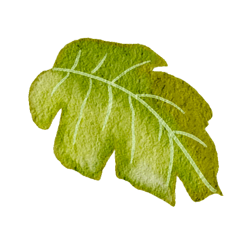 hoja2.gif