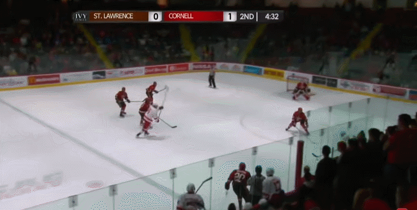 weidner_goal